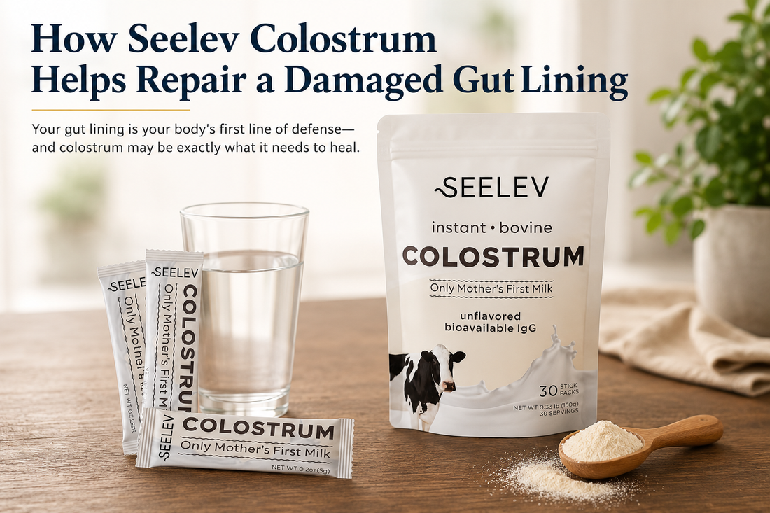 How Seelev Colostrum Helps Repair a Damaged Gut Lining
